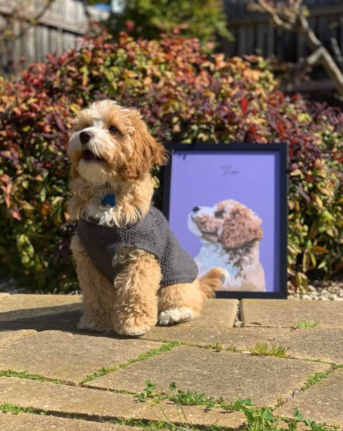 Personalised Pet Portrait
