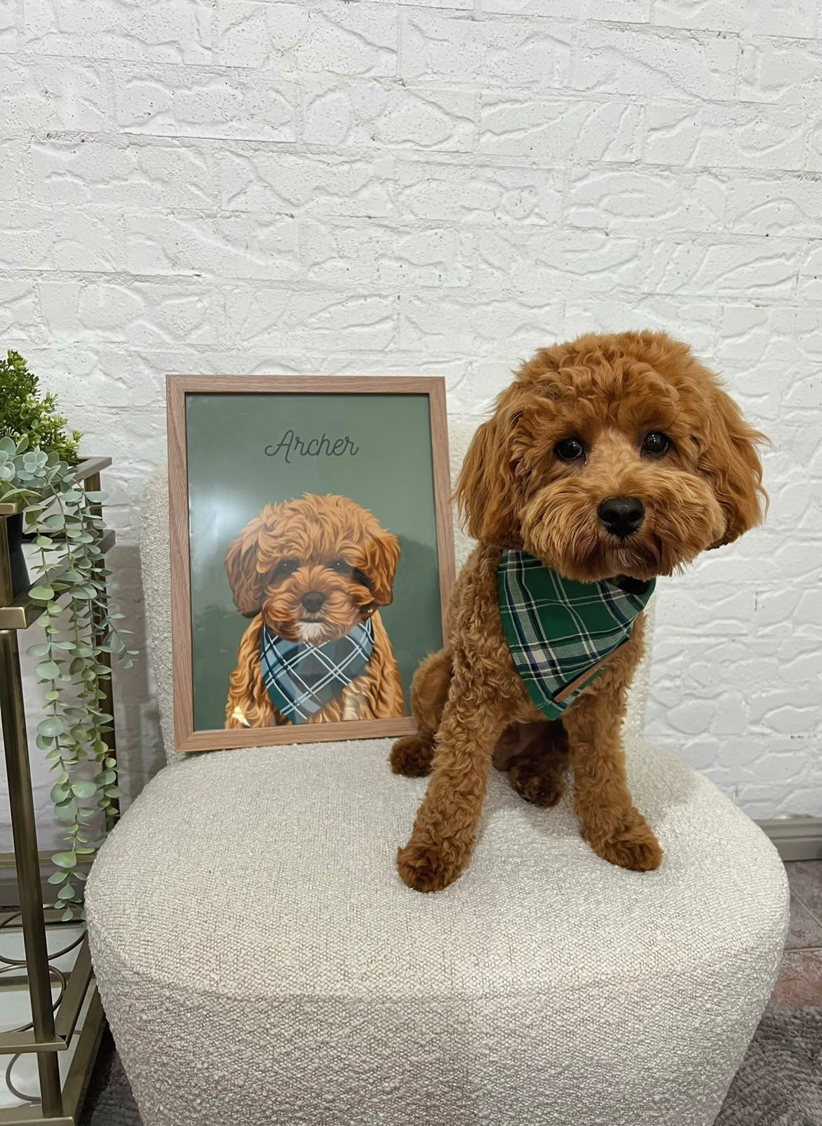 Personalised Pet Portrait
